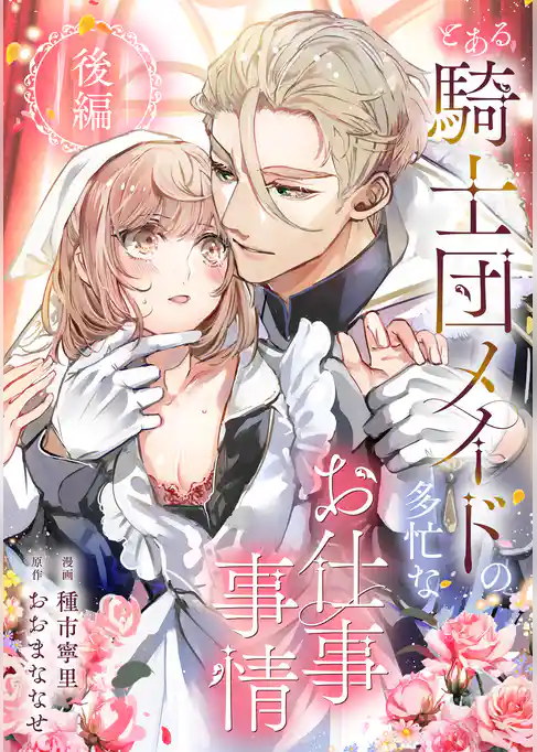 とある騎士団メイドの多忙なお仕事事情