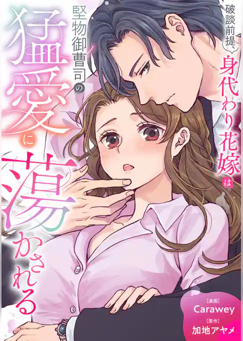 破談前提、身代わり花嫁は堅物御曹司の猛愛に蕩かされる（分冊版）