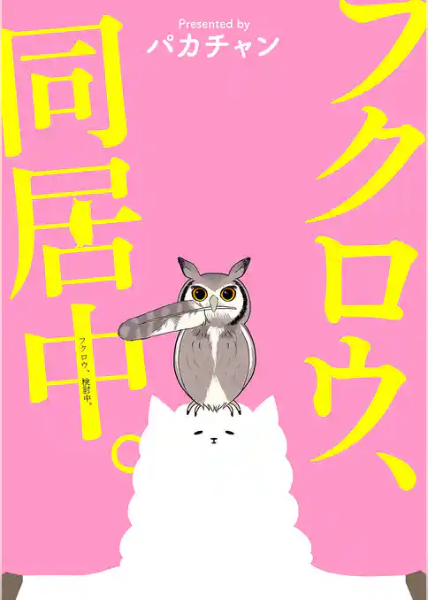 フクロウ、検討中。