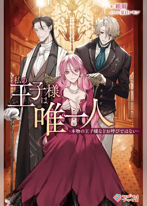 私の王子様は唯一人　～本物の王子様などお呼びではない～