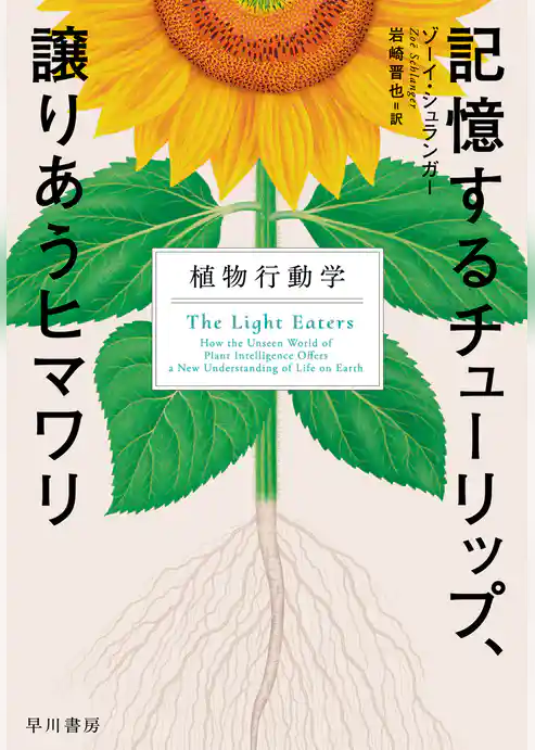 記憶するチューリップ、譲りあうヒマワリ