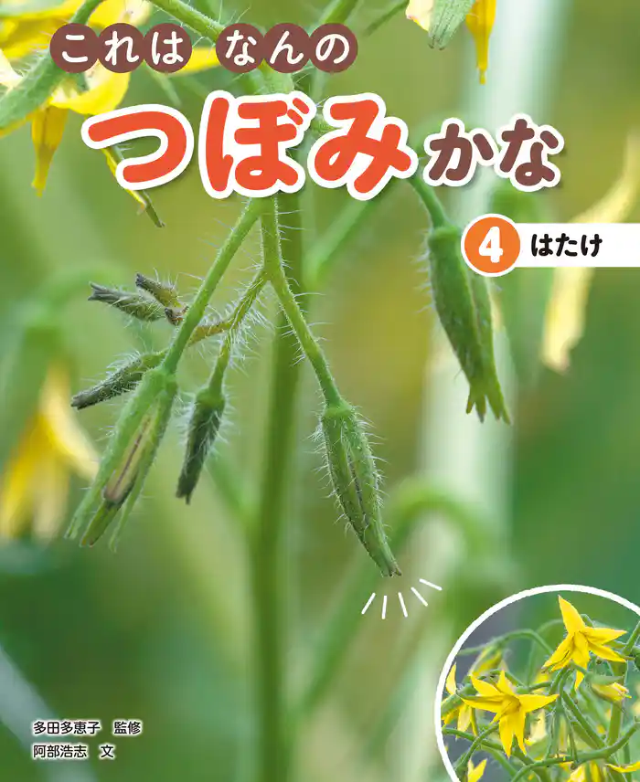 これはなんのつぼみかな (4)はたけ