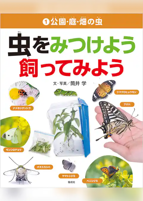 公園・庭・畑の虫