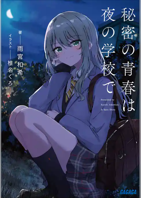 秘密の青春は夜の学校で
