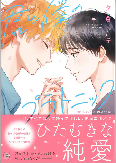 君と僕のプラトニック