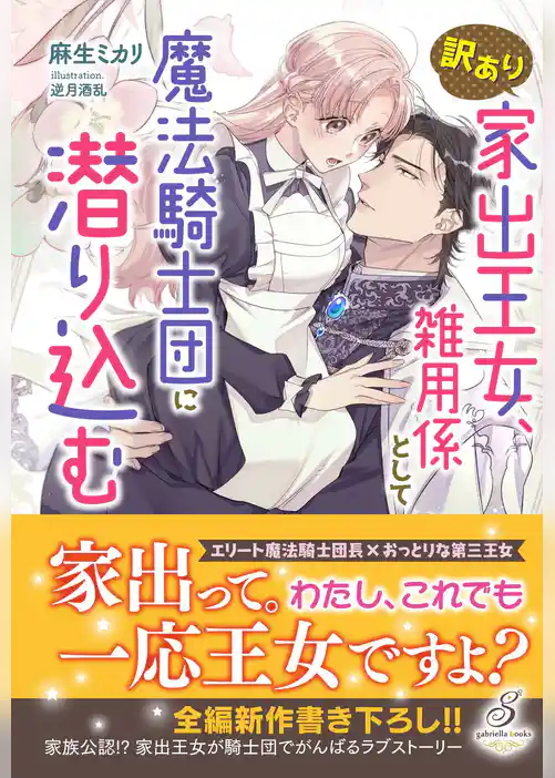 訳あり家出王女、雑用係として魔法騎士団に潜り込む【特典SS付き】