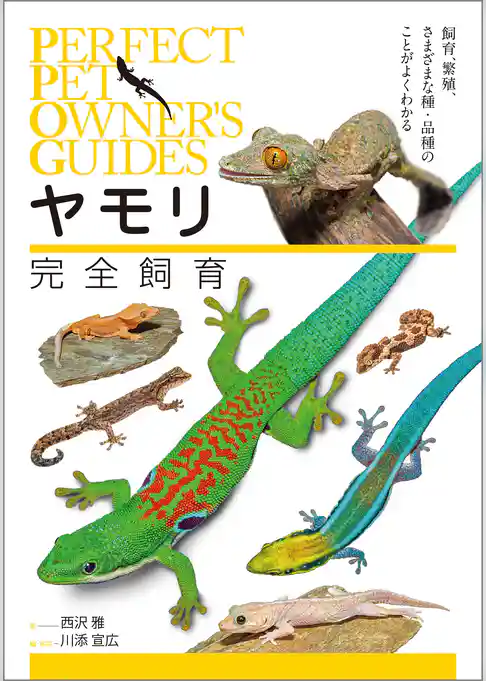 ヤモリ完全飼育：飼育、繁殖、さまざまな種・品種のことがよくわかる