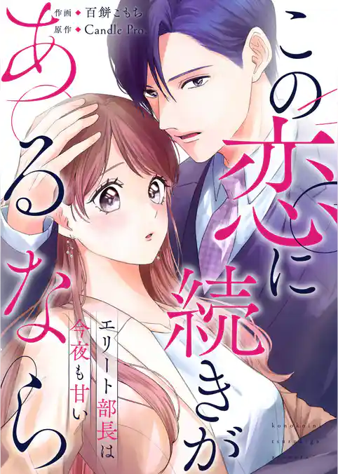 この恋に続きがあるなら　エリート部長は今夜も甘い