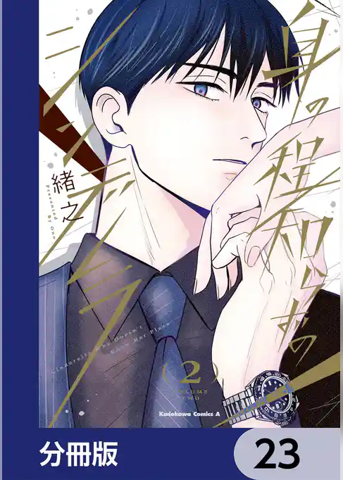 身の程知らずのシンデレラ【分冊版】
