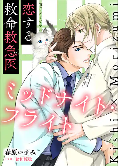 恋する救命救急医　ミッドナイト・フライト　【電子オリジナル】