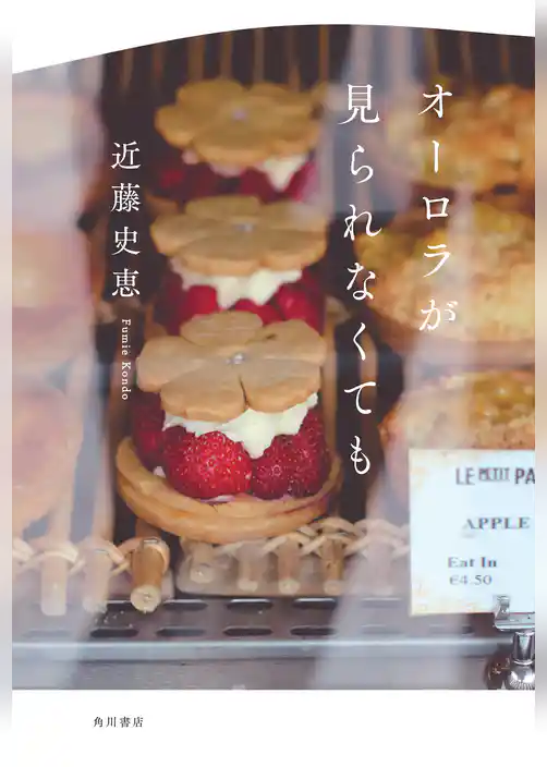 オーロラが見られなくても