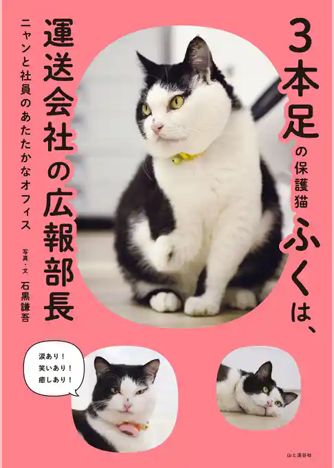 3本足の保護猫ふくは、運送会社の広報部長 ニャンと社員のあたたかなオフィス