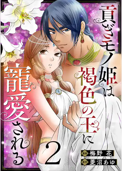 貢ぎモノ姫は褐色の王に寵愛される