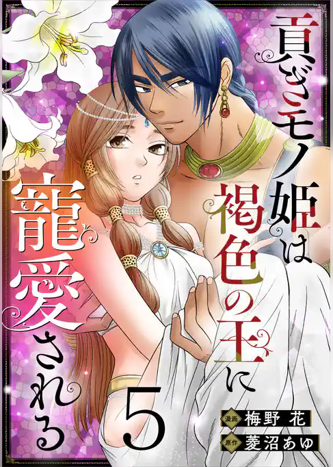 貢ぎモノ姫は褐色の王に寵愛される