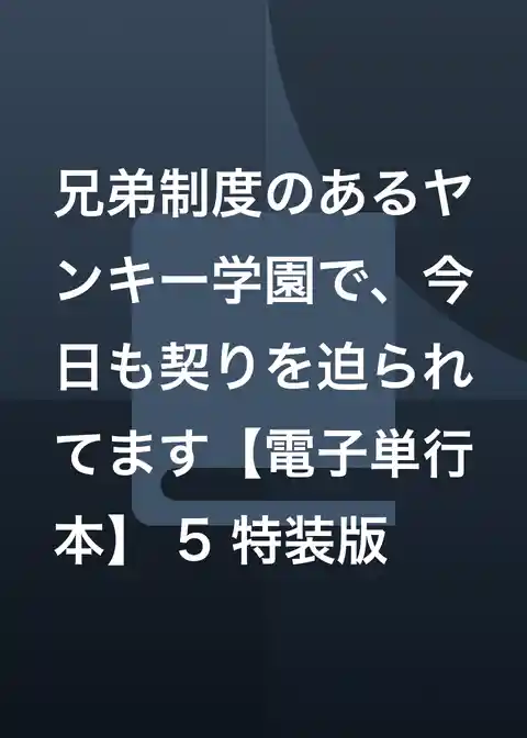 兄弟制度のあるヤンキー学園で、今日も契りを迫られてます【電子単行本】 特装版