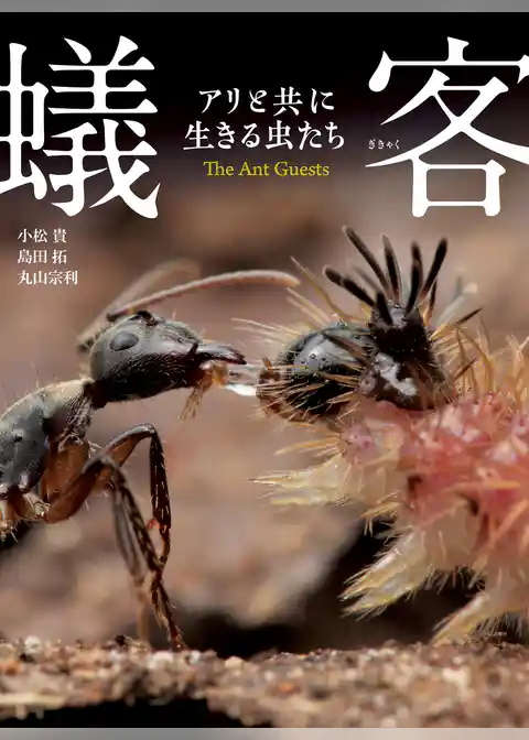 蟻客　アリと共に生きる虫たち