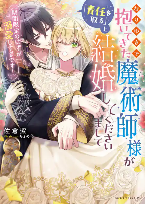 なりゆきで抱いてきた魔術師様が「責任を取る」と結婚してくださいまして（期間限定のはずが溺愛しすぎです！）
