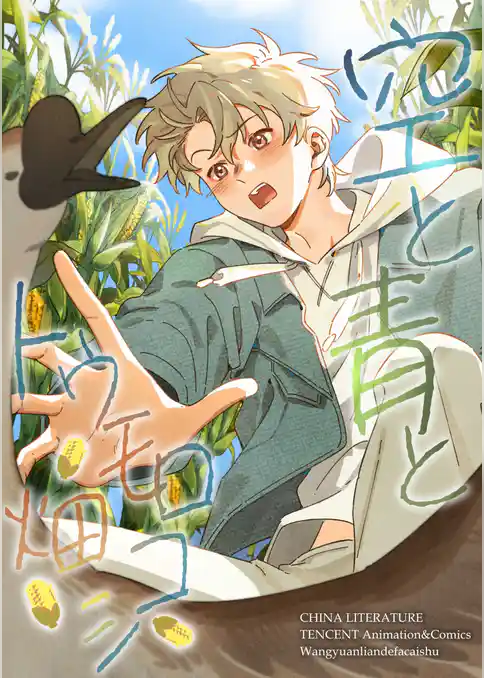 空と青とトウモロコシ畑