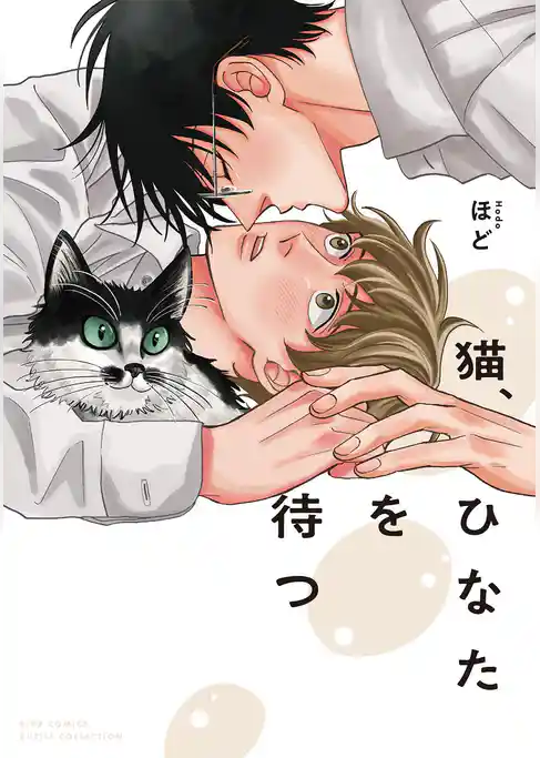 猫、ひなたを待つ