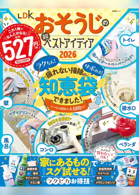 晋遊舎ムック　LDKおそうじの超ベストアイディア2026