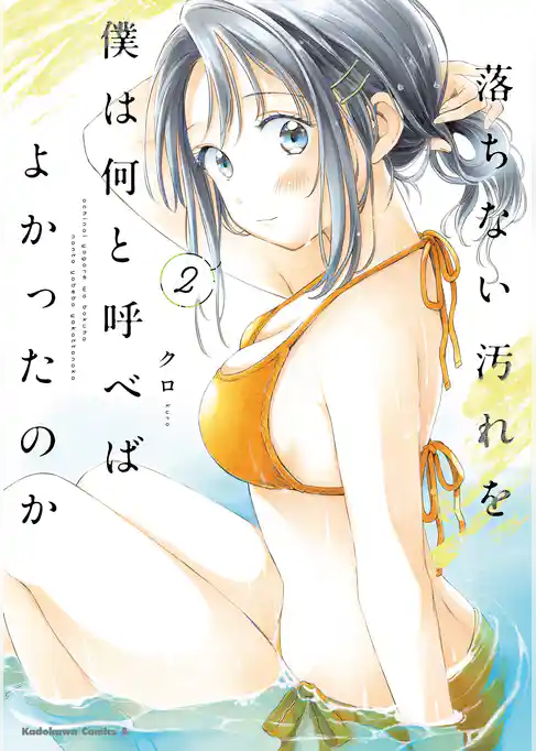 落ちない汚れを僕は何と呼べばよかったのか