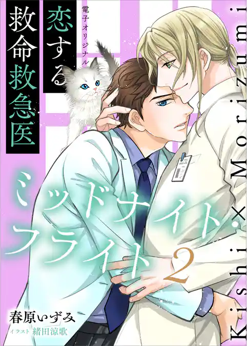 恋する救命救急医　ミッドナイト・フライト２【電子オリジナル】
