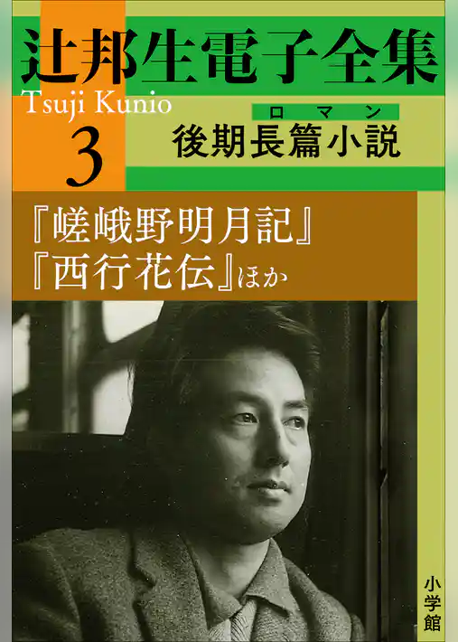 辻邦生電子全集 3巻 後期長篇小説（ロマン）『嵯峨野明月記』『西行花伝』ほか