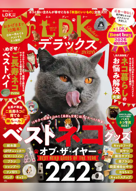 晋遊舎ムック　ネコDKデラックス2026
