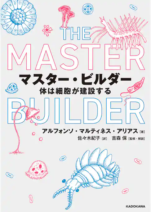 マスター・ビルダー　体は細胞が建設する