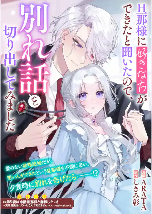 旦那様に好きな方ができたと聞いたので、別れ話を切り出してみました