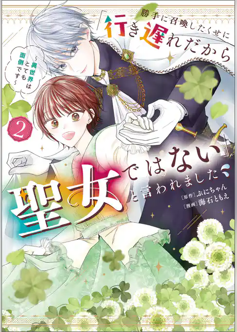 勝手に召喚したくせに「行き遅れだから聖女ではない」と言われました　～異世界はとても面倒です～