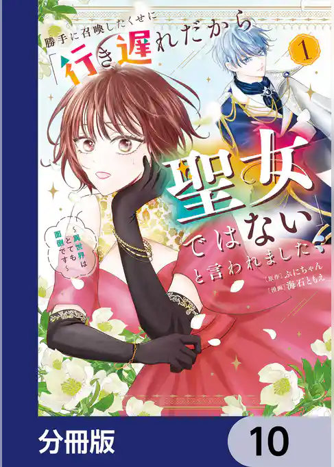 勝手に召喚したくせに「行き遅れだから聖女ではない」と言われました　～異世界はとても面倒です～【分冊版】