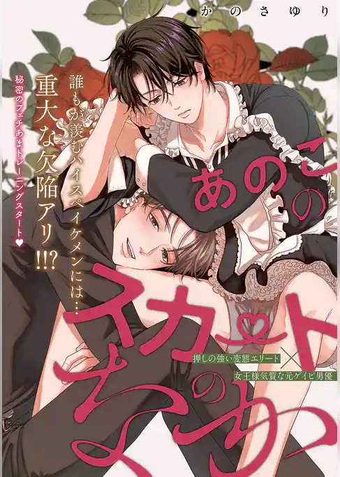 あのこのスカートのなか