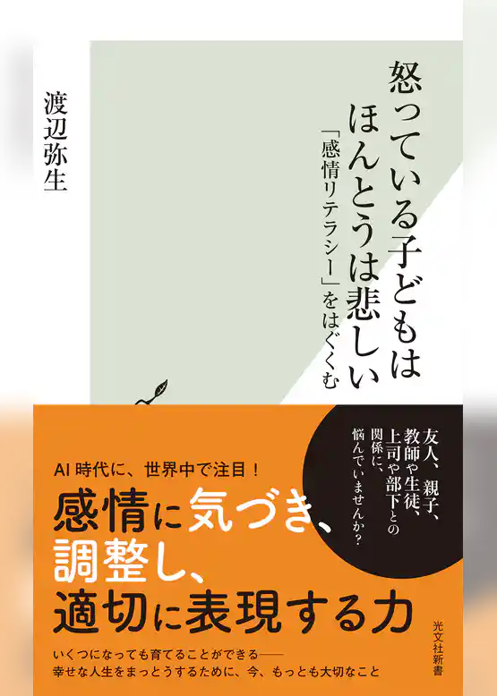 怒っている子どもはほんとうは悲しい～「感情リテラシー」をはぐくむ～