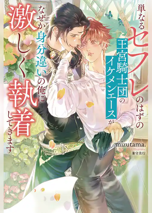 【期間限定　試し読み増量版】単なるセフレのはずの王宮騎士団のイケメンエースがなぜか身分違いの俺に激しく執着してきます