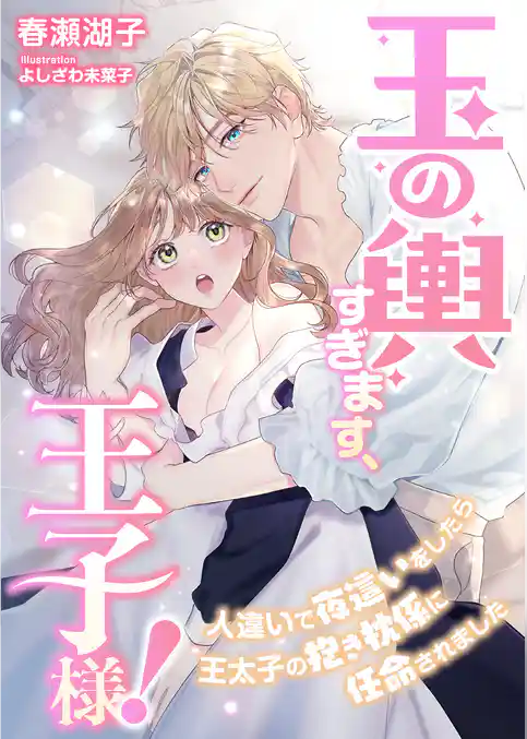 玉の輿すぎます、王子様！ ～人違いで夜這いをしたら王太子の抱き枕係に任命されました～