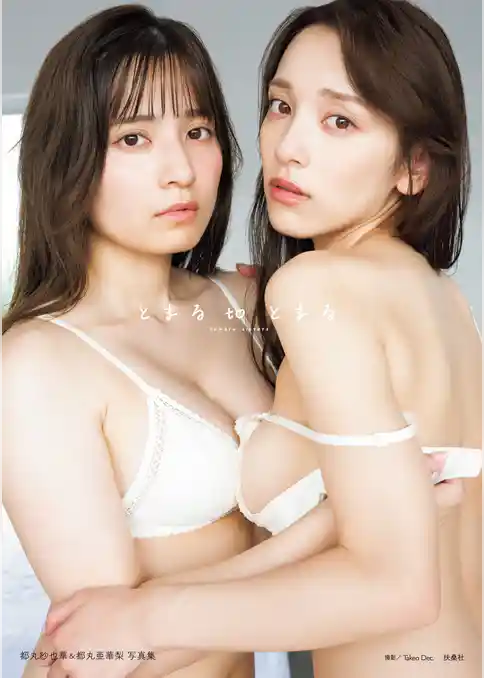 とまるtoとまる