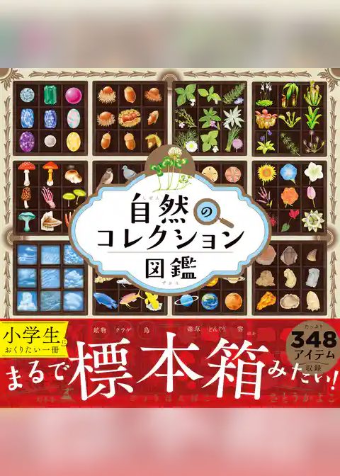 自然のコレクション図鑑