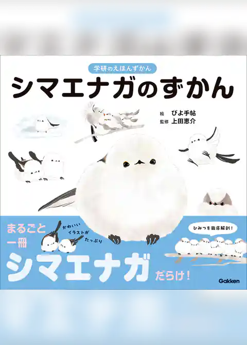 シマエナガのずかん