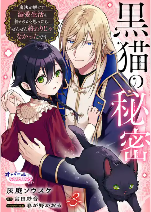 黒猫の秘密～魔法が解けて溺愛生活も終わりかと思ったら、ぜんぜん終わりじゃなかったです～