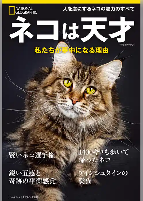 ネコは天才　私たちが夢中になる理由