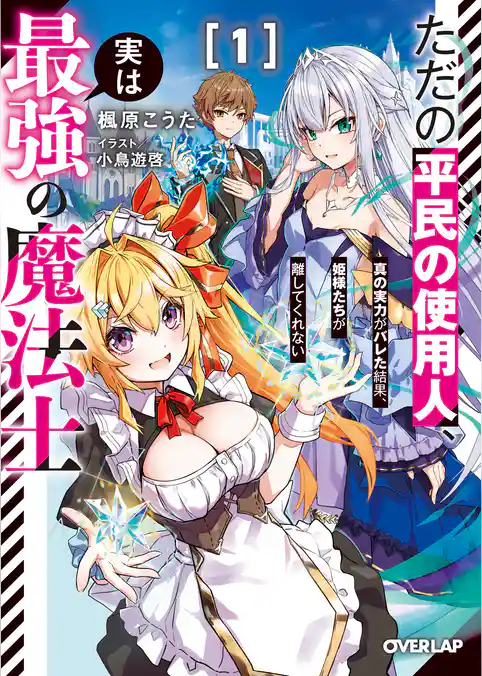 ただの平民の使用人、実は最強の魔法士