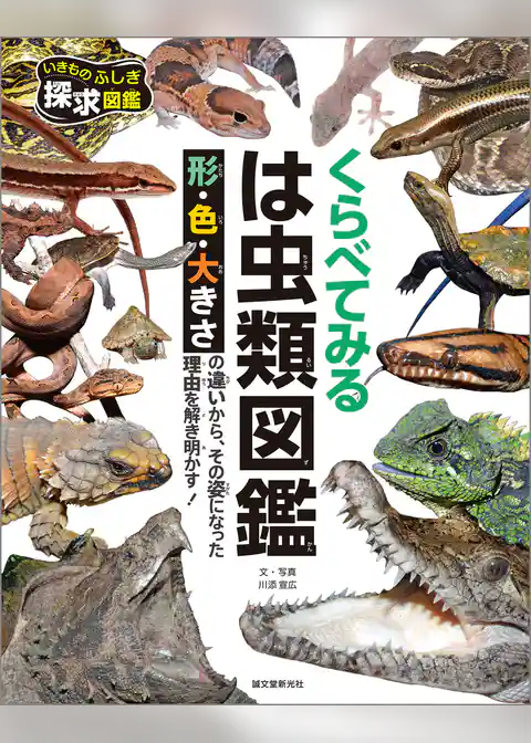 くらべてみる　は虫類図鑑：形・色・大きさの違いから、その姿になった理由を解き明かす！