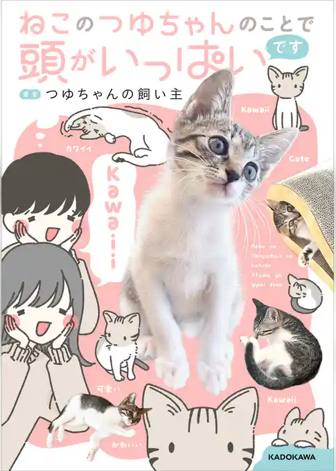 ねこのつゆちゃんのことで頭がいっぱいです