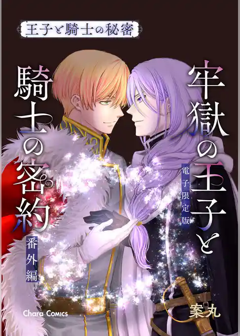 「牢獄の王子と騎士の密約」番外編『王子と騎士の秘密』【電子限定版】