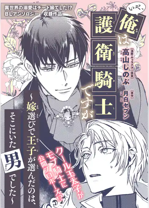 いや、俺は護衛騎士ですが ～嫁選びで王子が選んだのは、そこにいた男でした～