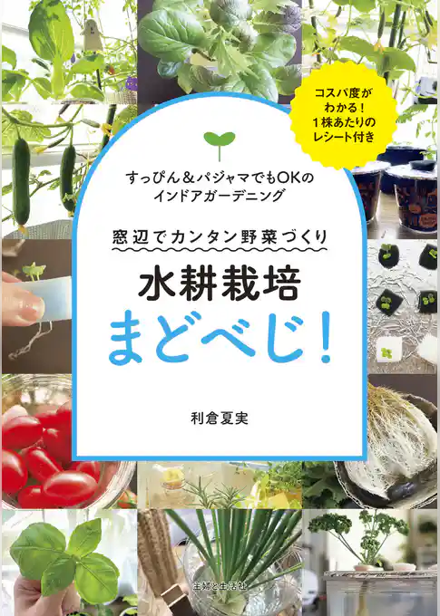 水耕栽培まどべじ！