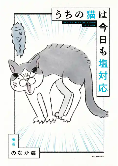 うちの猫は今日も塩対応