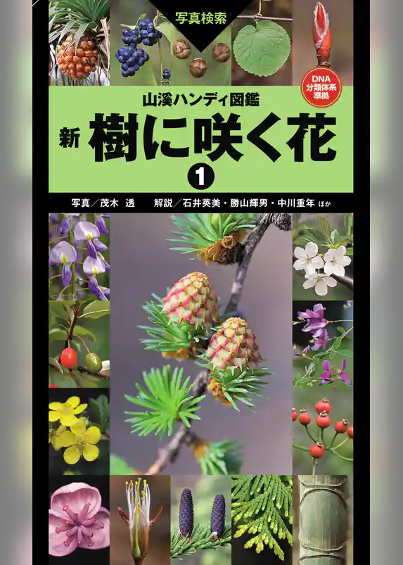 山溪ハンディ図鑑 新 樹に咲く花1