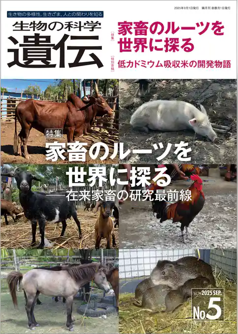 生物の科学 遺伝 2025年9月発行号 Vol.79 No.5